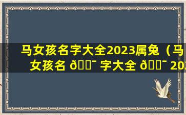 马女孩名字大全2023属兔（马女孩名 🐯 字大全 🐯 2023属兔宝宝）